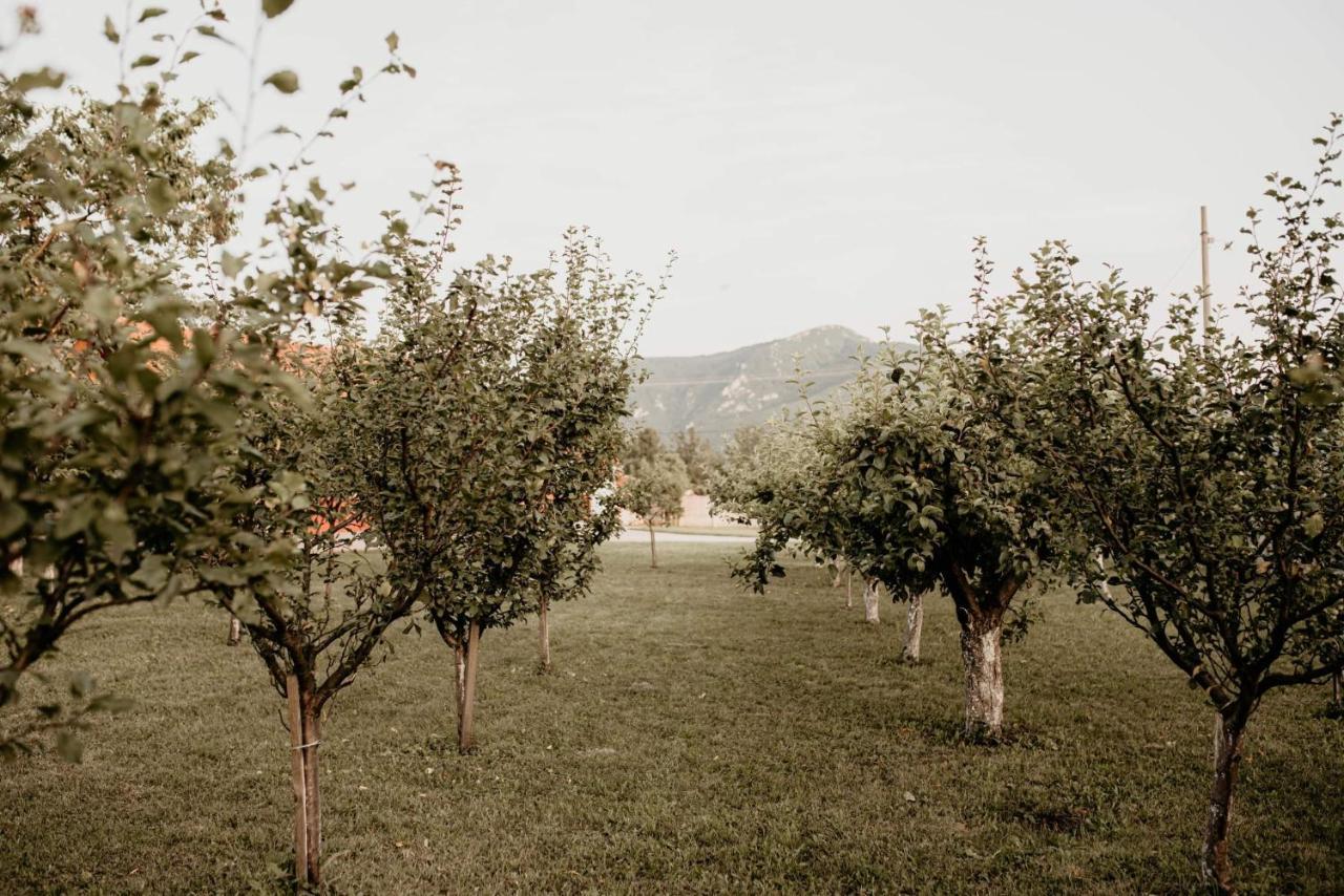 Villa Vikendica Castanea Banja Zdrelo Petrovac na Mlavi Esterno foto