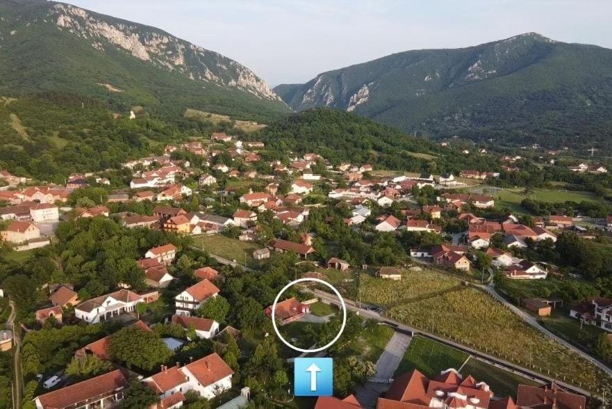 Villa Vikendica Castanea Banja Zdrelo Petrovac na Mlavi Esterno foto
